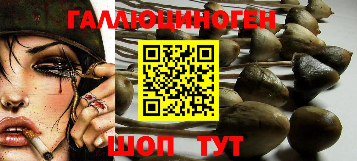 Галлюциногенные грибы GOLDEN TEACHER Бор